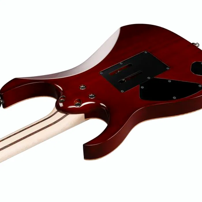Ibanez j.custom RG8570-BSR – photo 9