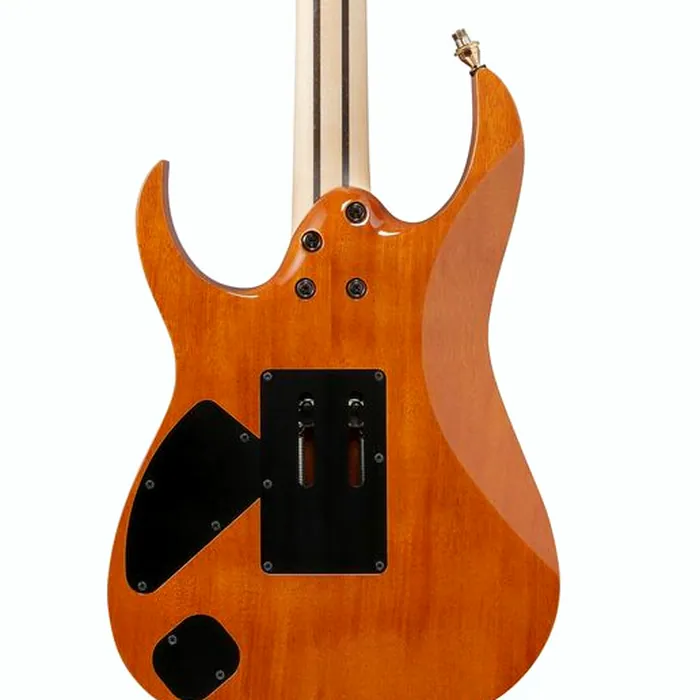 Ibanez j.custom RG8570EM-NT – photo 5