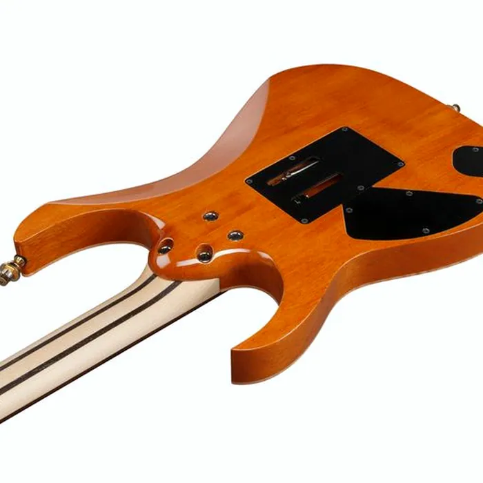 Ibanez j.custom RG8570EM-NT – photo 9