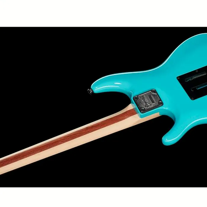 Ibanez JS2410-SYB – photo 10