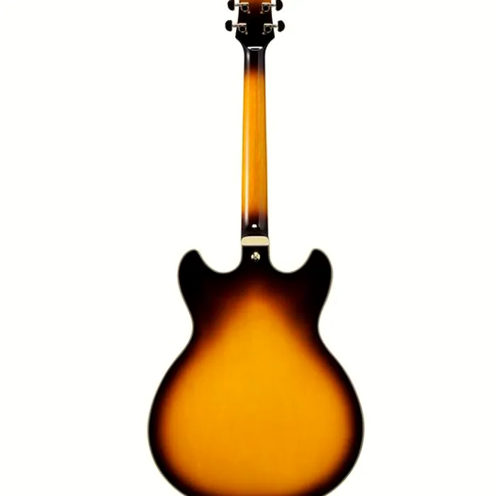 Ibanez JSM10EM-TTB John Scofield – photo 4