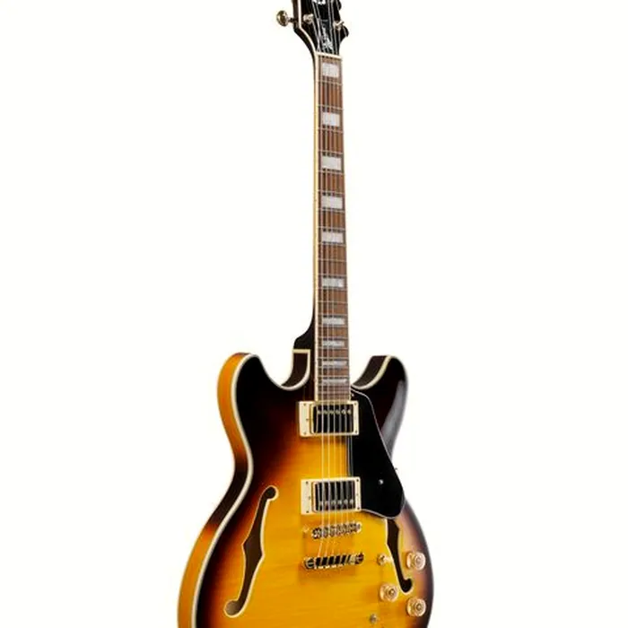 Ibanez JSM10EM-TTB John Scofield – photo 5