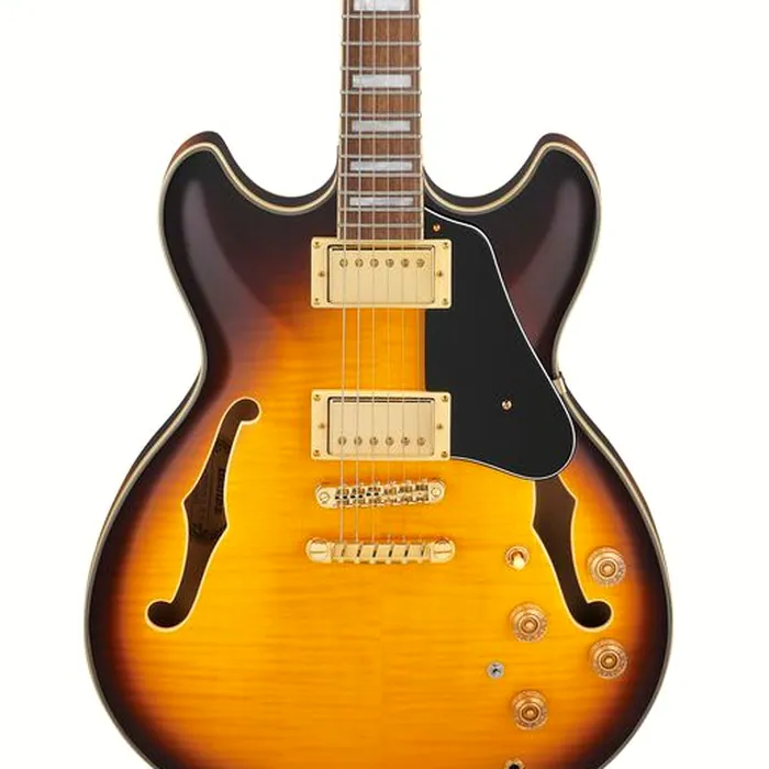 Ibanez JSM10EM-TTB John Scofield – photo 6