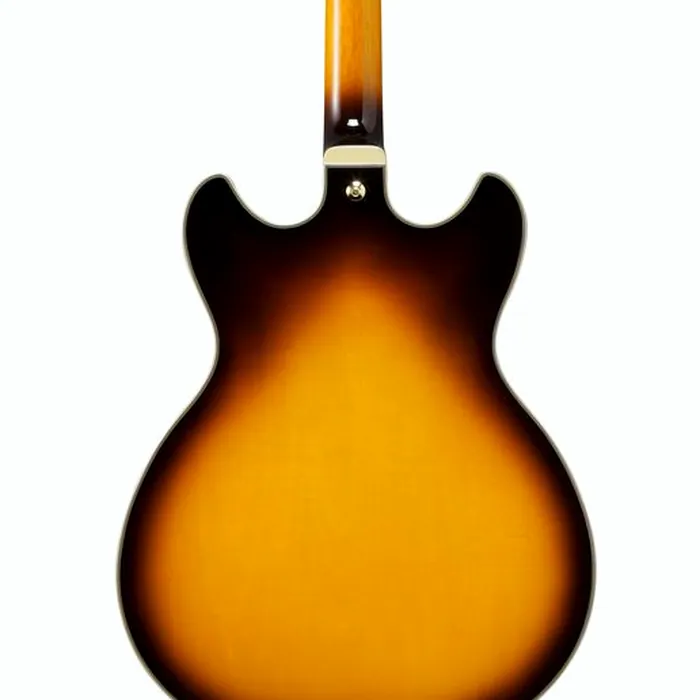 Ibanez JSM10EM-TTB John Scofield – photo 7