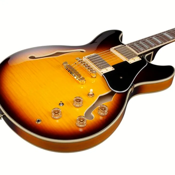 Ibanez JSM10EM-TTB John Scofield – photo 8