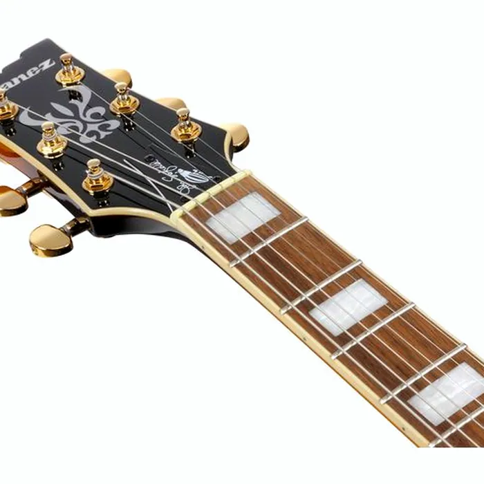 Ibanez JSM10EM-TTB John Scofield – photo 10