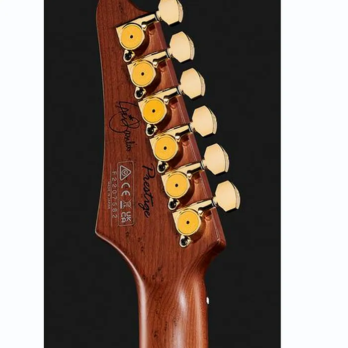 Ibanez LB1-VL Lari Basilio – photo 9