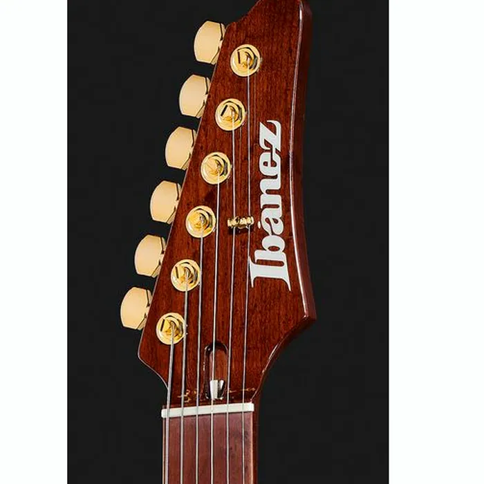Ibanez LB1-VL Lari Basilio – photo 8
