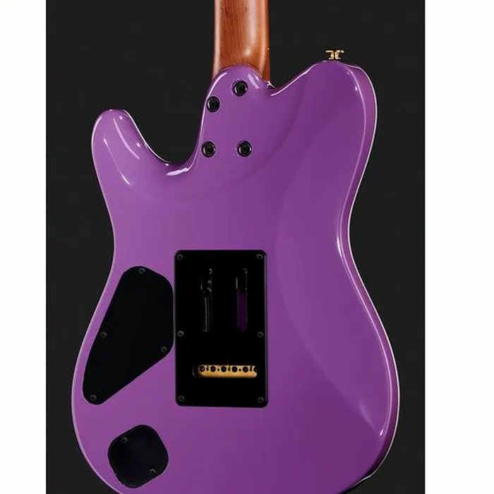 Ibanez LB1-VL Lari Basilio – photo 7
