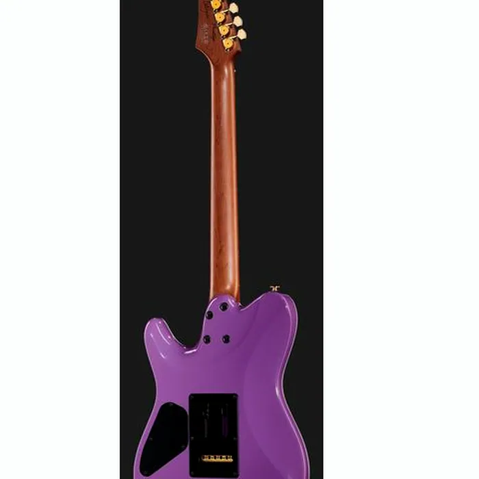 Ibanez LB1-VL Lari Basilio – photo 5