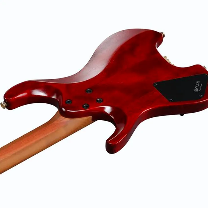 Ibanez MGFM10-OBL – photo 8