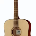 Guitare acoustique Ibanez PF10-OPN | Test, Avis & Comparatif