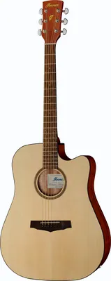 Ibanez PF10CE-OPN