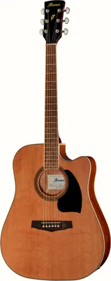 Ibanez PF17ECE-LG
