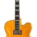 La guitare électrique Ibanez PM2-AA | Test, Avis & Comparatif