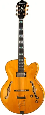 Ibanez PM2-AA