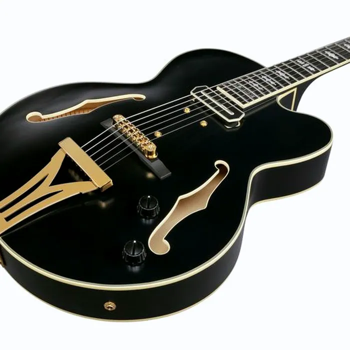 Ibanez PM3C-BKL Pat Metheny – photo 10