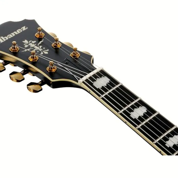 Ibanez PM3C-BKL Pat Metheny – photo 8
