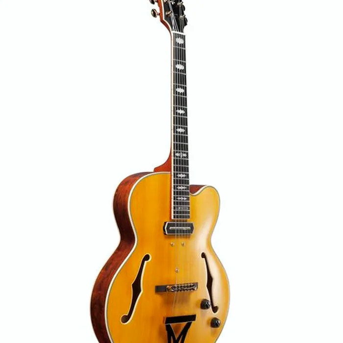 Ibanez PM3C-NAL Pat Metheny – photo 5
