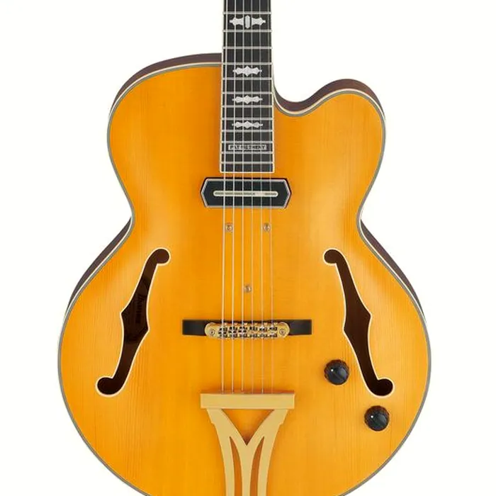 Ibanez PM3C-NAL Pat Metheny – photo 6