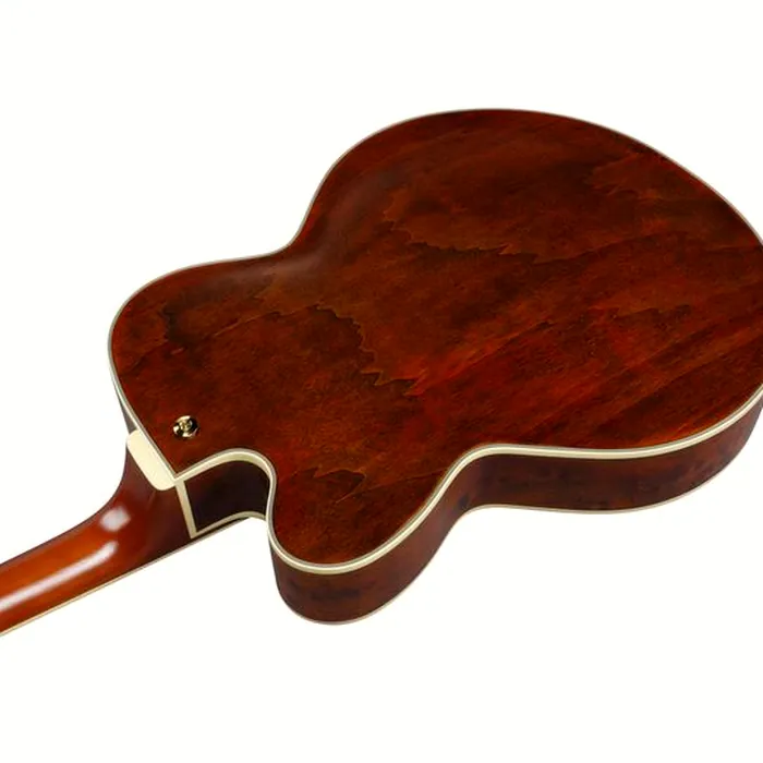 Ibanez PM3C-NAL Pat Metheny – photo 11