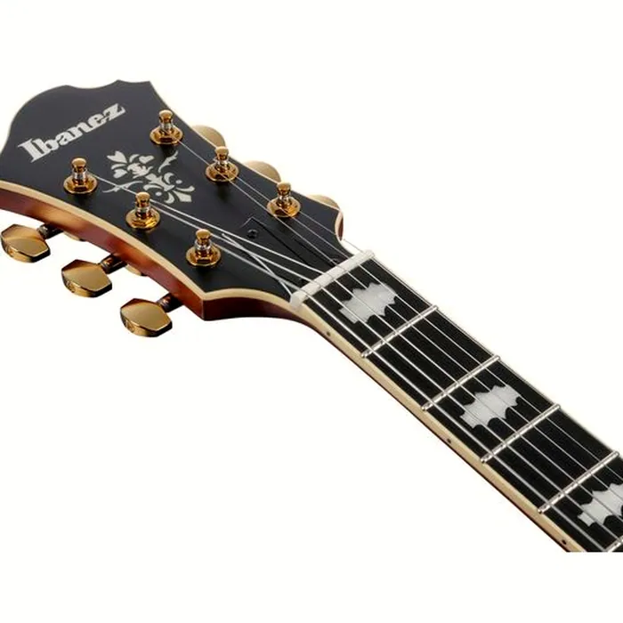 Ibanez PM3C-NAL Pat Metheny – photo 8