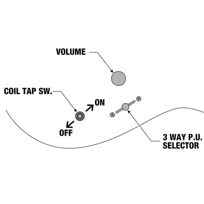 Ibanez PWM20 – photo 12