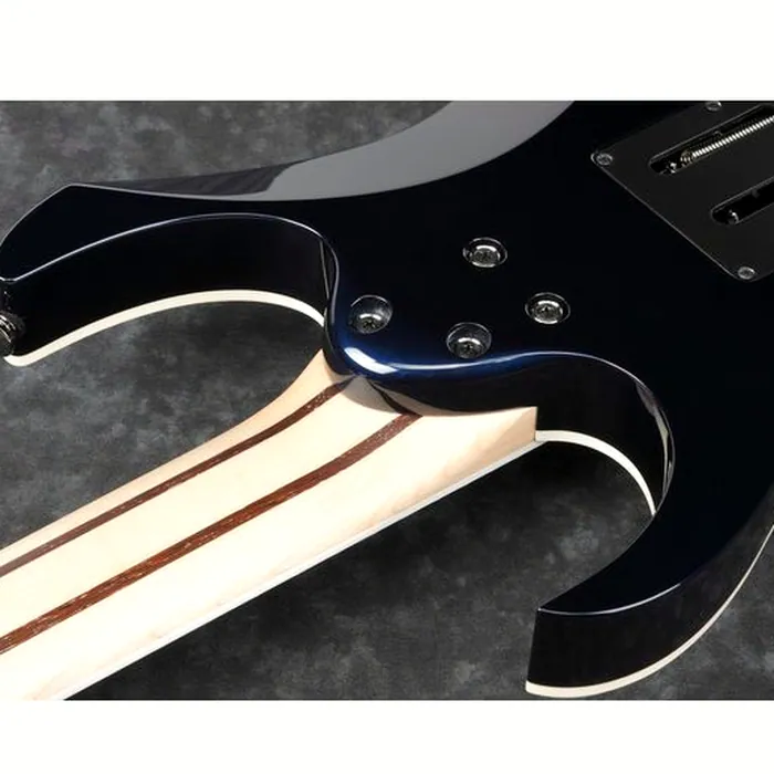 Ibanez RG2027RXL-DTB – photo 8