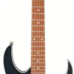 La guitare électrique IBANEZ RG420HPAH-BWB | E.G.L