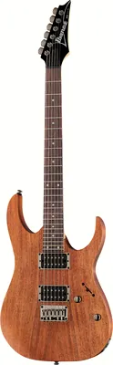 Ibanez RG421-MOL