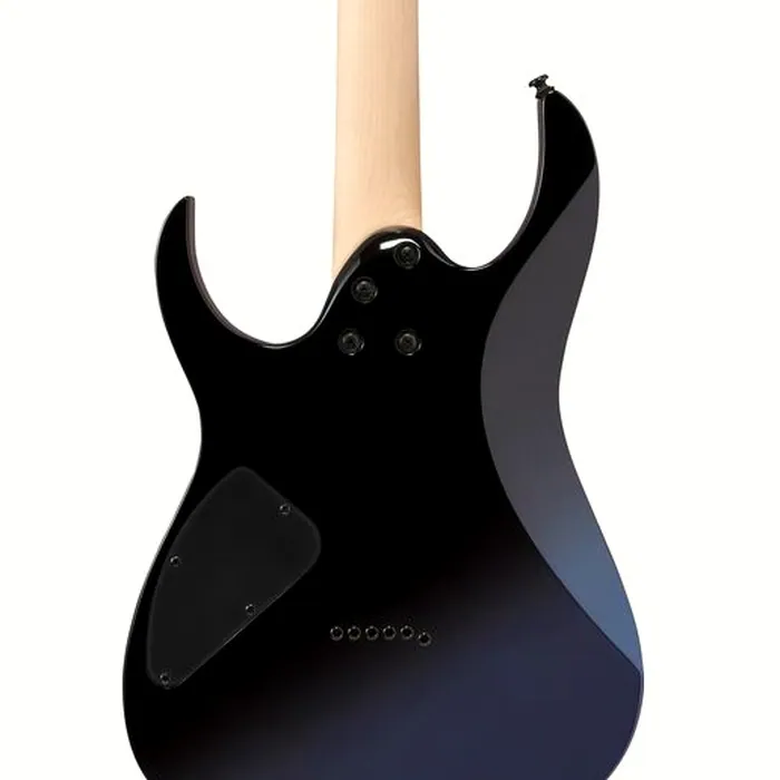 Ibanez RG421DX-TWS – photo 7