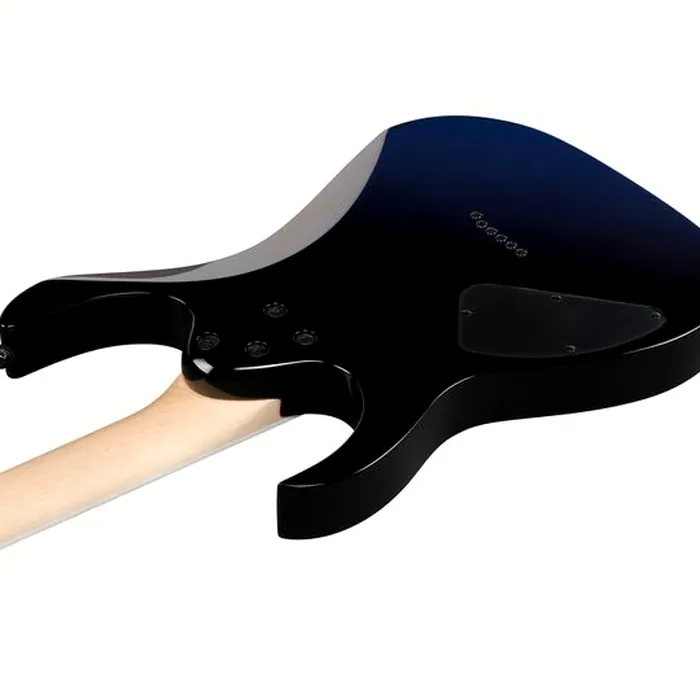 Ibanez RG421DX-TWS – photo 9