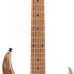 La guitare électrique Ibanez RG421HPAM-ABL | Test, Avis & Comparatif