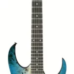 La guitare électrique Ibanez RG421PB-CHF | Test, Avis & Comparatif | E.G.L
