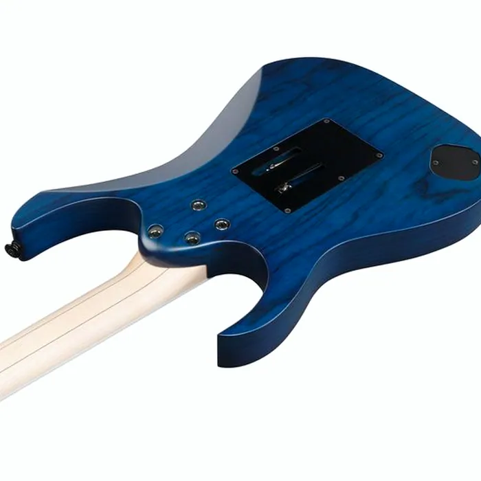 Ibanez RG653DX-TDF – photo 9