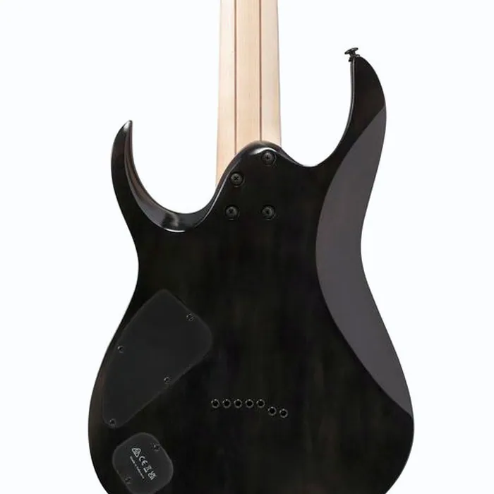 Ibanez RGA217P1PBDRL – photo 7