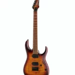 La guitare électrique Ibanez RGA42FM-DEF Test et Avis
