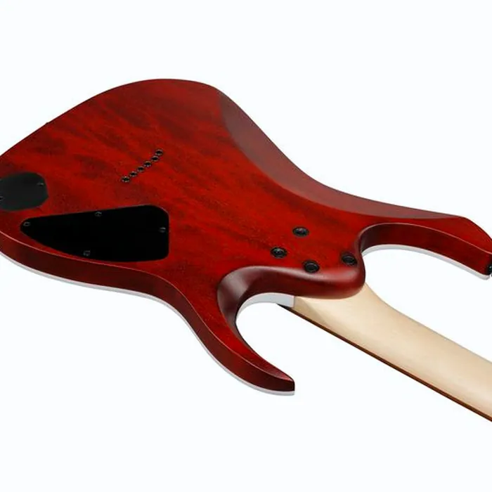 Ibanez RGA42FML-TGF – photo 8