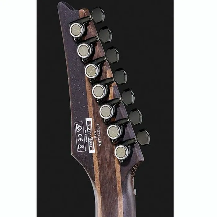 Ibanez RGD71ALPA-CKF – photo 9