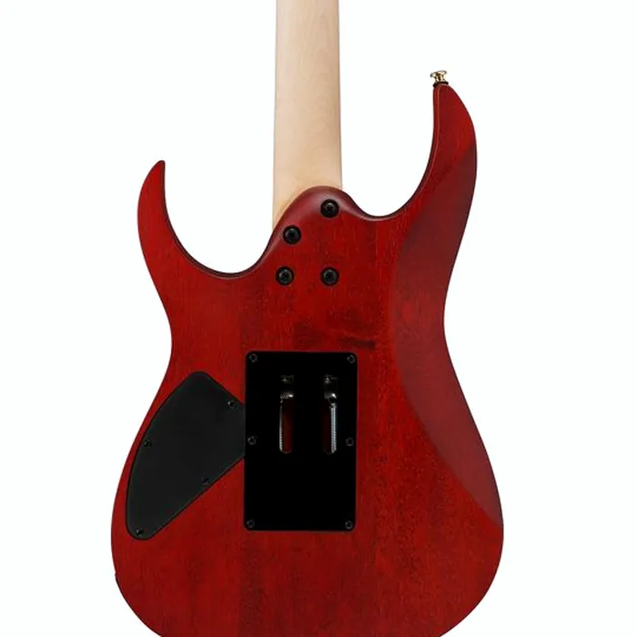Ibanez RGR420FMSPTGF – photo 7