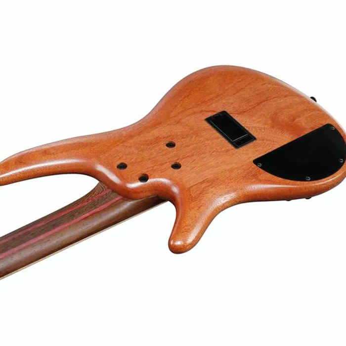 Ibanez SR5FMDX2-NTL – photo 9