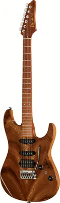 Ibanez TQM1-NT