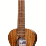Le ukulélé Islander by Kanilea AT-4 Tenor | Test, Avis & Comparatif
