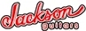 Jackson SLX DX Soloist X Series WC