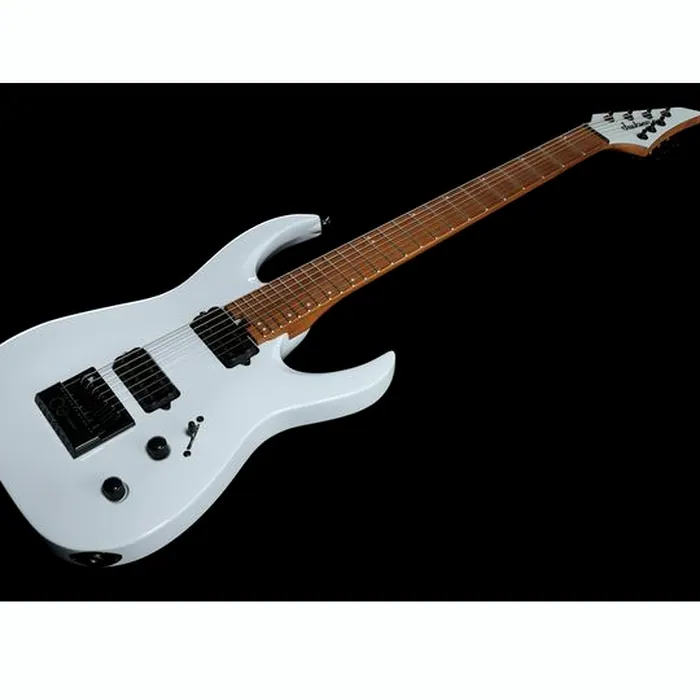 Jackson Misha Mansoor Juggernaut ET7 G – photo 11
