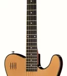 Guitare acoustique James Neligan EW3000 CN | Test, Avis & Comparatif