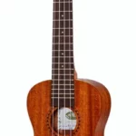 Le ukulélé Kala Concert Ukulele Starter Kit | Test, Avis & Comparatif