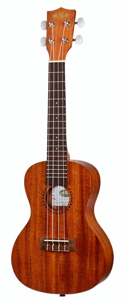 Kala Concert Ukulele Starter Kit