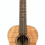 Le ukulélé Kala Exotic Baritone Ukulele SF | Test, Avis & Comparatif