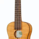 Le ukulélé Kala Exotic Mahogany Concert | Test, Avis & Comparatif